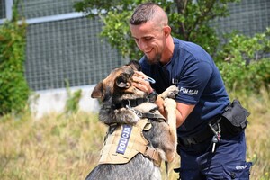 Czworonożni funkcjonariusze podkarpackiej Policji