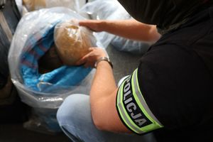 Na zdjęciu operacyjny funkcjonariusz Policji w ubiorze cywilnym, na lewym przedramieniu ma elestyczną opaskę  odblaskową z napisem policja. Policjant trzyma w ręce worek z krajanką tytoniową.