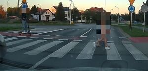 Na zdjeciu przejście dla pieszych. Na lewym pasek widać jadącego na hulajnodze mężczyznę, na prawym pasie idą dwie osoby.