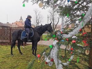 Na zdjęciu patrol konny.
