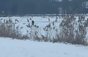 Na zdjęciu mężczyzna idący po zamarzniętym Wisłoku.