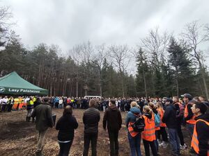 Na zdjęciu uczestnicy sadzenia drzewek.
