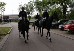 Na zdjęciu umundurowani policjanci na koniach służbowych.