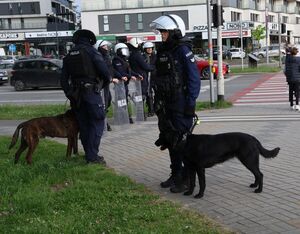 Na zdjęciu umundurowany policjant-przewodnik psa służbowego z psem.