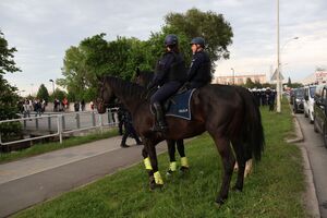 Na zdjęciu umundurowani policjanci na koniach służbowych.