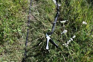 Policjanci zatrzymali złodziei kabla