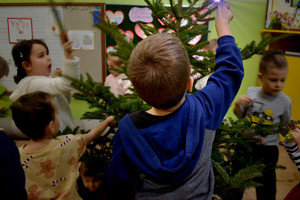 przedszkolak ubierający choinkę