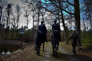Policjanci na koniach