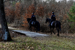 Policjanci na koniach