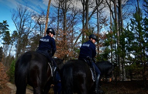 Policjanci na koniach