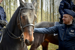 policyjny koń
