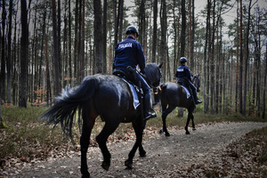 Policjanci na koniach