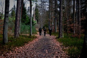 Wspólny patrol policjantów i strażników leśnych