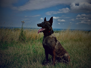 Nowy funkcjonariusz ropczyckiej komendy