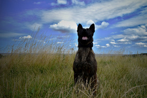 Nowy funkcjonariusz ropczyckiej komendy