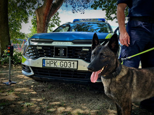 Plenerowy piknik na Kamionce