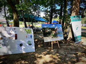 Plenerowy piknik na Kamionce