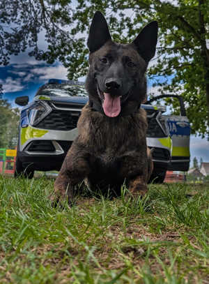 Plenerowy piknik na Kamionce