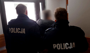 Schował się w skrytce. Funkcjonariusze zatrzymali poszukiwanego 30-latka