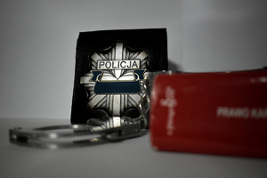 25-latek usiłował włamać się do domku letniskowego - usłyszał zarzuty