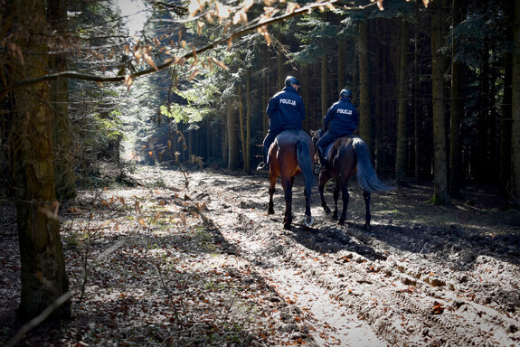 Wspólny patrol sędziszowskich dzielnicowych i policjantów ogniwa konnego Komendy Wojewódzkiej Policji w Rzeszowie