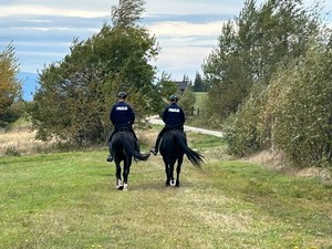 policyjni jeźdźcy podczas patrolu szlaku turystycznego