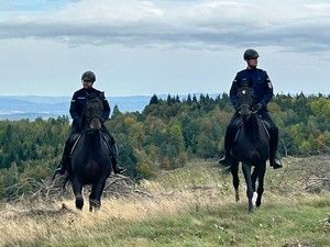 policyjni jeźdźcy podczas patrolu szlaku turystycznego