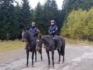 policyjni jeźdźcy podczas patrolu