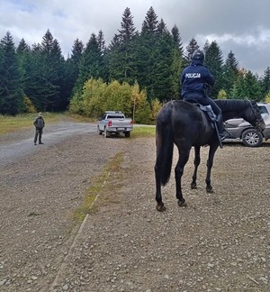 policyjni jeźdźcy podczas patrolu