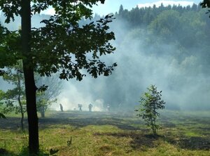 Policjanci przypominają, że wypalanie wyschniętej roślinności jest zabronione i karalne. Może prowadzić do niekontrolowanego rozprzestrzeniania się ognia, a w konsekwencji do poważnych pożarów zagrażających życiu i zdrowiu ludzi oraz mieniu. Apelujemy o rozwagę i powstrzymanie się od tego typu działań.W minioną środę po godzinie 14 dyżurny Komendy Powiatowej Policji w Brzozowie otrzymał informację o pożarze traw na terenie miejscowości Malinówka. Na miejsce skierowani zostali brzozowscy policjanci Funkcjonariusze ustalili, że 66-letni mężczyzna wypalał suchą trawę na swojej działce. Nie zachował on należytej ostrożności, w wyniku czego ogień rozprzestrzenił się na większy obszar. Na szczęście pożar został opanowany przez strażaków. Za popełnione wykroczenie mężczyzna został ukarany mandatem karnym.