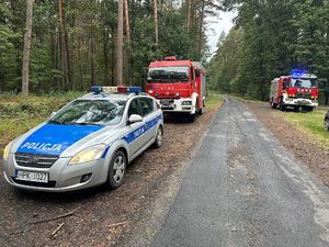 Na drodze leśnej, na poboczu znajduje się radiowóz oraz dwa wozy strażackie