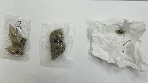 Susz roślinny w dwóch woreczkach foliowych i na chusteczce