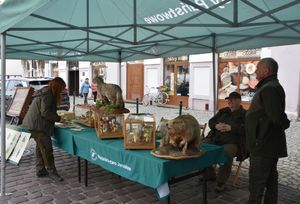 Stoisko profilaktyczne Lasów Państwowych