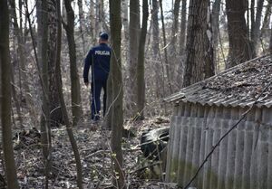 Policjant w lesie podczas poszukiwań