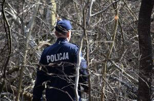 Policjant w trakcie poszukiwań zaginionego mężczyzny w kompleksie leśnym