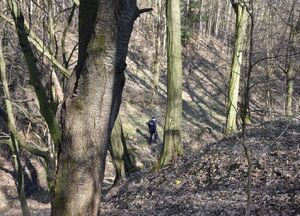 Policjant w trakcie poszukiwań mężczyzny w lesie