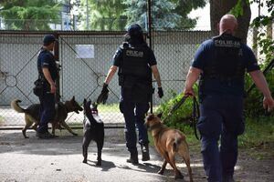 Policyjni przewodnicy psów z psami