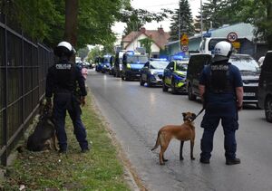 Policyjni przewodnicy z psami służbowymi podczas zabezpieczenia meczu