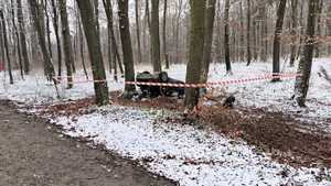 Audi wywrócone na dach