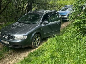 Audi w lesie przed radiowozem