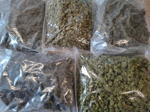 Zabezpieczone narkotyki