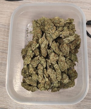 zatrzymane narkotyki (susz marihuany)