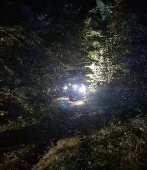 poszukiwania zagubionej rodziny w lesie