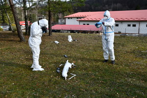 służby doskonalą współdziałanie podczas sytuacji zagrożenia- ćwiczenia ALERT MCI w Solinie