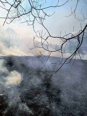 pożar łąki w Bystrem