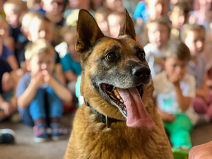 Zdjęcia przedstawiają funkcjonariuszy Komendy Powiatowej Policji w Leżajsku podczas spotkania z dziećmi w przedszkolu. Na zdjęciach znajduje się również policyjny pies "Dżina" i jej przewodnik