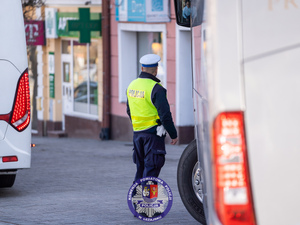 Zdjęcia przedstawiają przebieg pielgrzymki Chasydów do Leżajska. Na zdjęciach widoczni są umundurowani policjanci pełniący w tym czasie służbę.