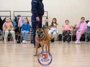 Zdjęcia przedstawiają przebieg służby Dżiny - czworonożnej policjantki.