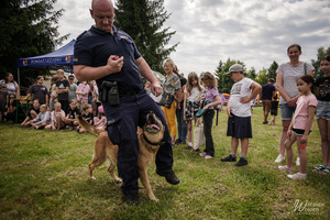 Zdjęcia przedstawiają przebieg służby Dżiny - czworonożnej policjantki.