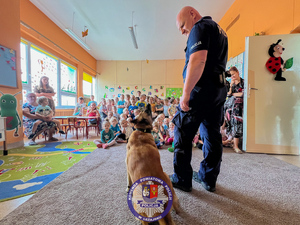 Zdjęcia przedstawiają przebieg służby Dżiny - czworonożnej policjantki.